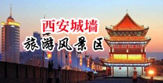 国产肛交骚屄中国陕西-西安城墙旅游风景区
