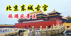 大鸡吧操小骚逼出水视频中国北京-东城古宫旅游风景区